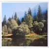 Image 2 : HAND-SIGNED PHOTOGRAPH PRINTS OF YOSEMITE - (2)