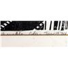 Image 2 : ORIGINAL BLACK & WHITE PORTRAIT FRAMED PRINT