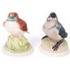Image 1 : BOEHM PORCELAIN BABY BLUE JAY & WOOD THRUSH STATUE
