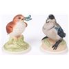 Image 2 : BOEHM PORCELAIN BABY BLUE JAY & WOOD THRUSH STATUE