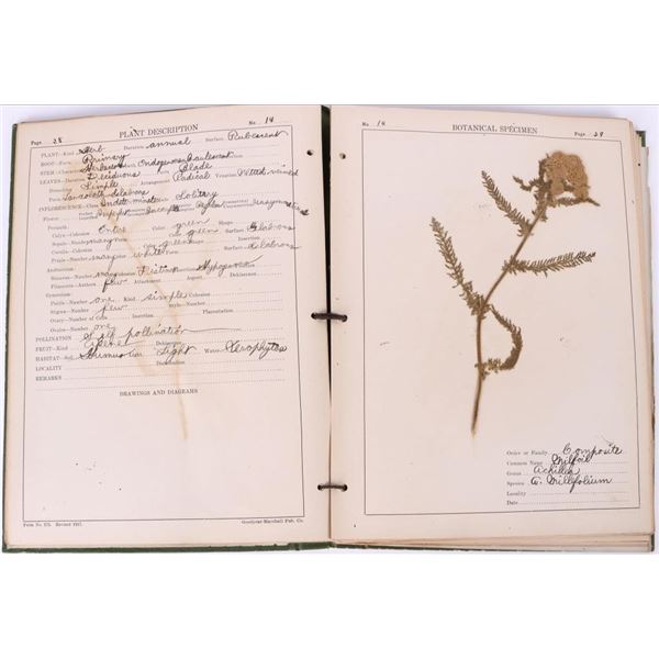 VINTAGE 1919 HERBARIUM COLLEGE DRIED SPECIMEN BOOK