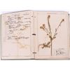 Image 3 : VINTAGE 1919 HERBARIUM COLLEGE DRIED SPECIMEN BOOK