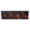 Image 1 : DIFFERENT FRUIT PAINTINGS 4 VARIOUS PAINTINGS