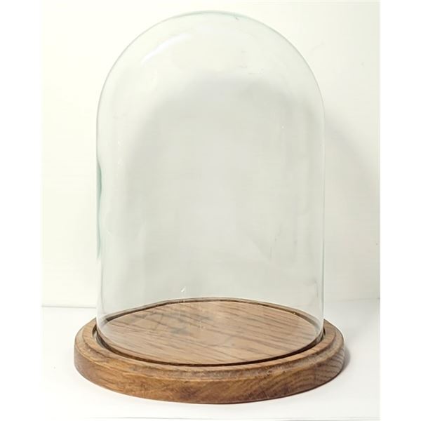 8)  CLEAR GLASS AND WOODEN BASE BELL JAR FOR
