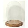 Image 1 : 8)  CLEAR GLASS AND WOODEN BASE BELL JAR FOR