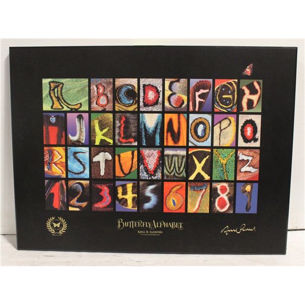 BUTTERFLY ALPABET PRINT,PICTURES