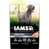 Image 1 : 12.2KG BAG OF IAMS CHICKEN & SALMON DOG FOOD