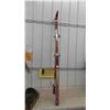 Image 1 : Actra-XC Set Skis & Poles 