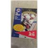 Image 2 : 1978 Jets Souvenir Programs , NHL Stickers, Some Cups & More 