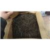 Image 2 : 2 Boxes of 2'' Nails 