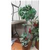 Image 2 : Poinsettia Christmas Plant , Christmas Ornaments & More 