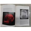 Image 9 : 2 Books About Lalique : Christopher Van Percys Lalique A Collectors