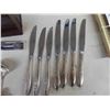 Image 2 : 66 Pieces of Silverware with Case 