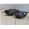 Image 2 : 8 Plastic Duck Decoys 