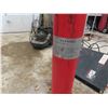 Image 5 : Pedestal Tire Changer 