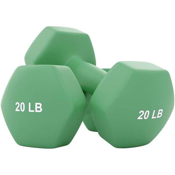 Green 20 Lbs Dumbells Pair