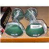 Image 2 : Green 20 Lbs Dumbells Pair