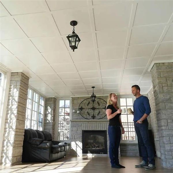 Snap Clip Ceiling Tiles 16 Piece Bulk Pack 64 Sq Ft