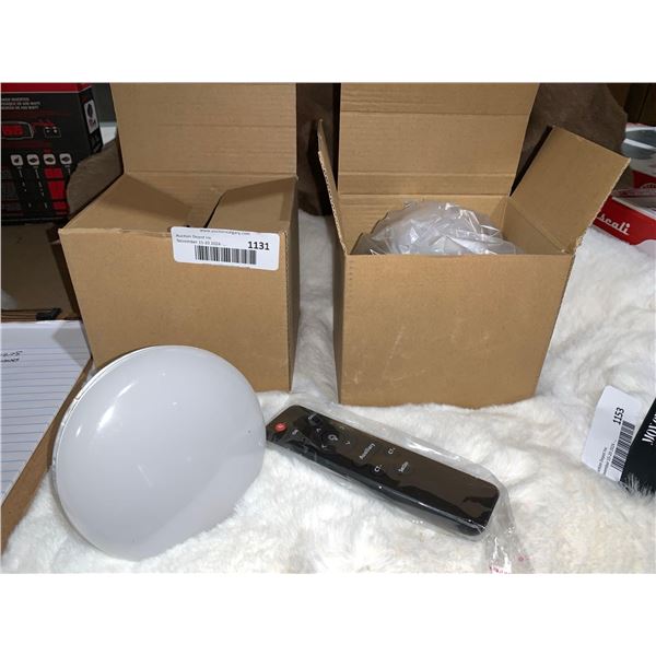 110V 85W Light (2ct)