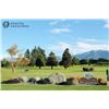 Image 5 : New Zealand Golf Vacation for Two with Avon Valley Lodge in Blenheim