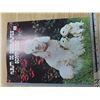 Image 2 : 2 album scrap book-NOS