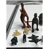Image 2 : 20 Reptiles.