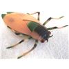 Image 5 : 7 Large Rubber/Plastic Bugs - 2 Spiders, 2 Grasshoppers, 3 Flying Insects