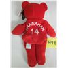Image 2 : 1999 Salvino Bammers 9" Plush NHL Beav - #14 Brendan Shanahan / Tags