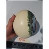 Image 2 : Hand painted ostrich egg-can't tell authenticity