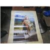 Image 1 : calgary stampede poster