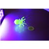 Image 1 : uranium glass spider