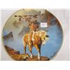 Image 2 : Vintage Native American Collectors Plate
