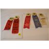 Image 1 : 1920's Saskatchewan agricultural ribbons