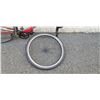Image 2 : NO NAME BIKE