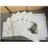 Image 2 : LOT OF 8 NATIVE AND OTHER PRINTS