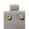 Image 1 : 14K YELLOW GOLD CITRINE(0.6CT)  EARRINGS