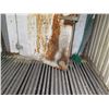 Image 24 : White 40-Ft Shipping Container (Refrigeration Does Not Work)