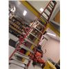 Image 1 : Werner FG 12' Stepladder