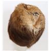 Image 2 : #689 CANADIAN MILITARY/POLICE FUR BEAVER MUSKRAT