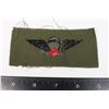 Image 2 : #810 CANADIAN AIRBORNE JUMP WINGS FOR USA FORCE