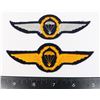 Image 1 : #821 COLD WAR WEST GERMAN AIRBORNE INSIGNIA LOT