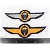 Image 2 : #821 COLD WAR WEST GERMAN AIRBORNE INSIGNIA LOT