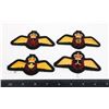 Image 1 : #874 ROYAL CANADIAN AIR FORCE LOT PADDED WINGS
