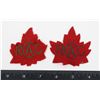 Image 1 : #875 1960'S ROYAL CANADIAN ARMY CADETS LEAF PATCH