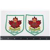 Image 1 : #884 PAIR RCAC CLEAR LAKE MANITOBA PATCH LOT