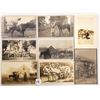 Image 2 : Animals - People with Horses 29 Postcards