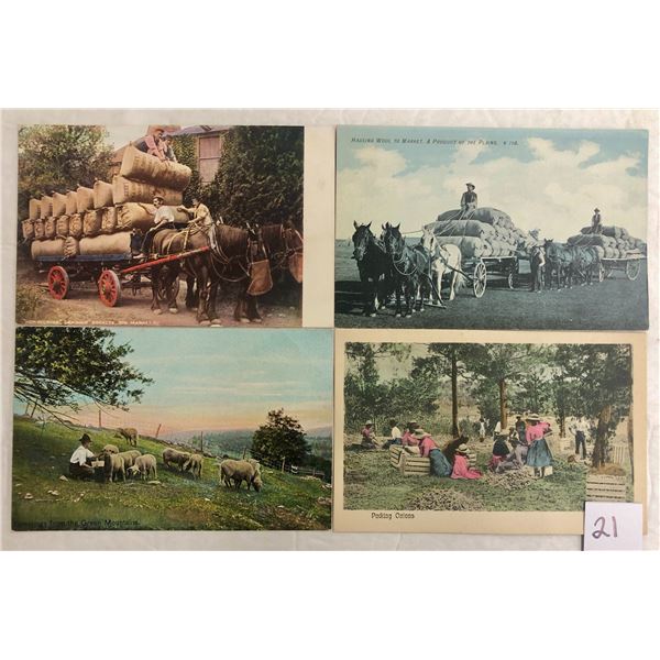 Farming 75+ Postcards