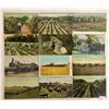 Image 2 : Farming 75+ Postcards