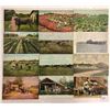Image 3 : Farming 75+ Postcards