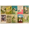 Image 2 : Storks on Greeting Postcards 13
